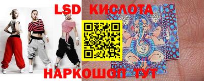 гидропоника Гусь-Хрустальный