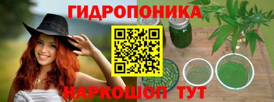ГАЛЛЮЦИНОГЕННЫЕ ГРИБЫ Гусиноозёрск