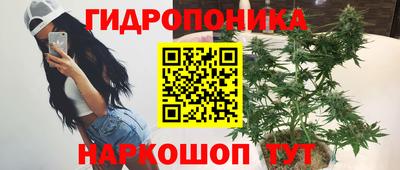 ГАЛЛЮЦИНОГЕННЫЕ ГРИБЫ Гусиноозёрск