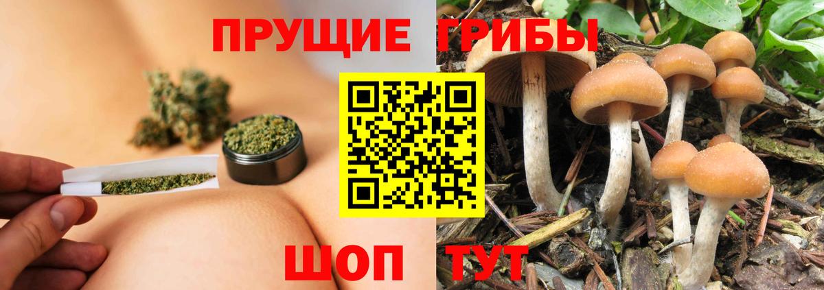 где купить наркотик  Вход с VPN  Минеральные Воды  Псилоцибиновые грибы GOLDEN TEACHER  Галлюциногенные грибы ЛСД 